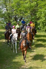 Centre Equestre du Gue Pean