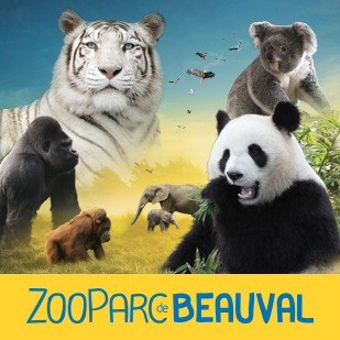 Zoo de beauval St Aignan